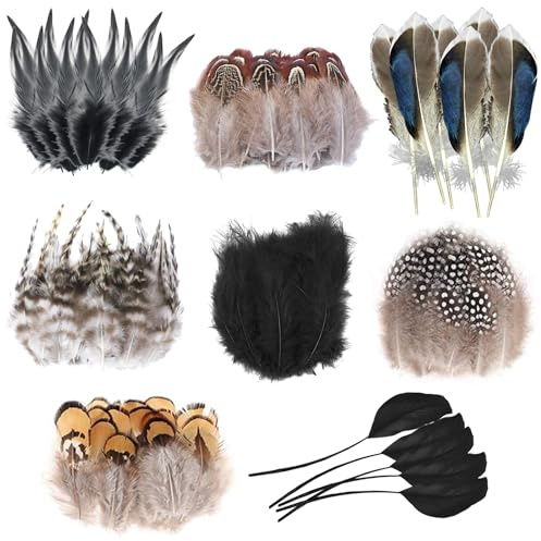 Federn zum Basteln, 160 Stück Fasanenfedern Perlhuhnfedern Acht Stil | Bastelfedern, Naturfedern für Bastelarbeiten, für Traumfänger DIY Ohrringe Party Masken Schmuck Ostereier, Schwarz & Braun