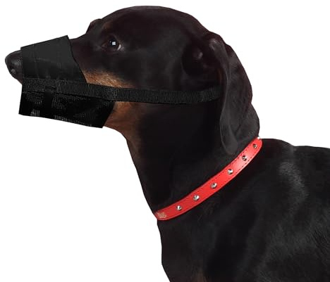 Dingo Nylon Muserolle Souple Maille Respirante Petites Races, Chiot, Teckel, Basset, Muserolle Vétérinaire pour Chiens, Périodes Courtes, Sangle de Cou Ajustable, Noir (16773-2)