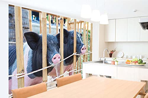 Vlies Fototapete FERKELZWILLINGE AUF DEM BAUERNHOF 375 x 250 cm (inkl. Kleister) - Vlies Tapete, Wandtapete, Wandbilder - Tapete für Wohnzimmer Schlafzimmer, Büro, Küche - Montagefertig
