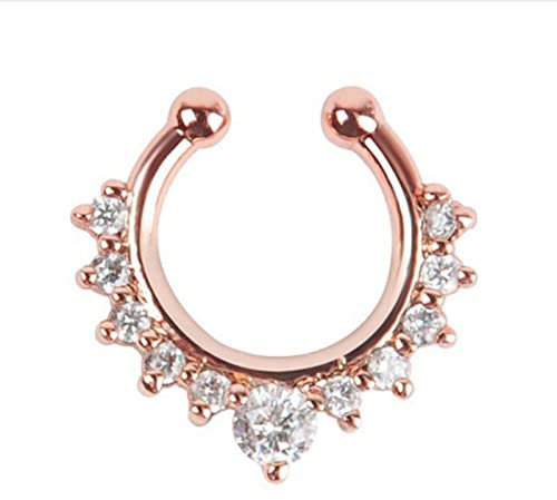 KnSam Nasenstecker, U Barbell Hufeisen Rosegold Ring Piercing Set für Männer Frauen in Edelstahl, Lippenpiercing Ohrringe mit Zirkonia, 1stk