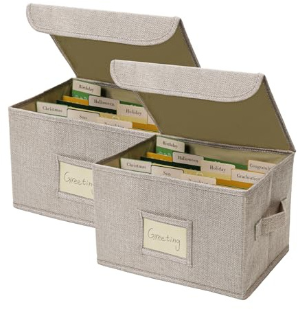 Vienrose Organizador de Tarjetas de Felicitación, 40 Separadores, 2 Paquete | 84 Etiquetas Autoadhesivas, Ideal Para Fotos, Sobres, Álbumes de Recortes, Papel y Pegatinas, Ideal para Hogar y Cumpleaños
