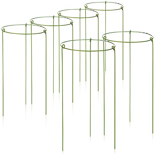 COM-FOUR® 6X Soporte para Flores y perennes Redondo - Soporte de arbusto para Flores, zarcillos y Plantas - Ø 14cm, 28cm