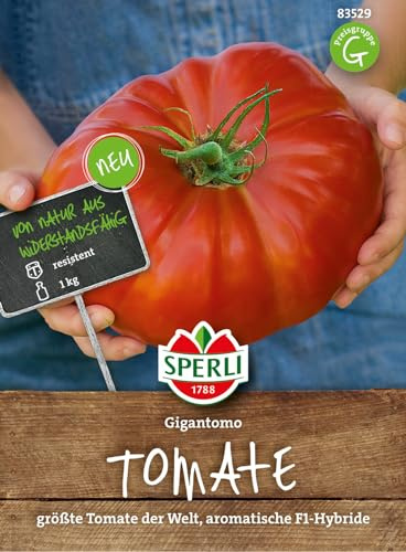 Sperli 83529 Fleischtomte Gigantomo (Fleischtomatensamen), F1