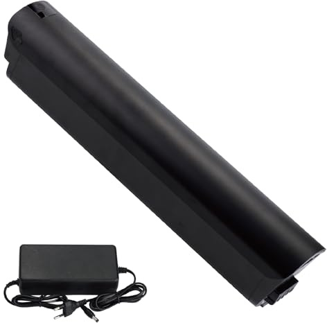 Batería Ebike 36V 18Ah de Litio, Repuesto para Bicicleta Urbana ESKUTE-Bike Polluno, con Cargador y Sistema BMS(36V 18Ah)