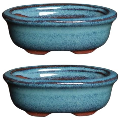 EdirFtra 2 bonsáis ovalados esmaltados, Maceta cerámica jugosa Retro con Agujero de Drenaje, Recipiente para Cactus y Flores, decoración de jardín