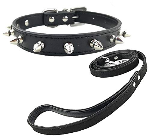 Newtensina Mode Welpen Halsband und Leine mit Nieten Punk Nieten Halsband mit Leine für kleine Hunde