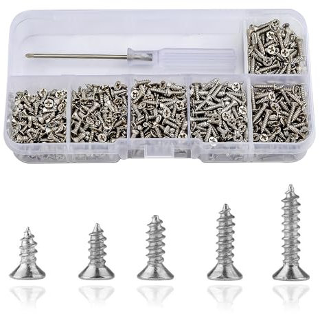 Roosea Lot de 1000 petites vis autotaraudeuses en métal M2 - Mini vis cruciformes à tête plate - Vis à tôle avec tournevis - Argenté - 5-10 mm