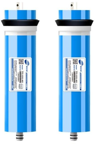 Aevmsor Lot de 2 filtres à eau à osmose inverse, 3012-400GPD - RO universel compatible pour purificateur d'eau domestique