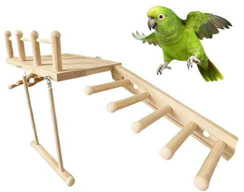Sittichsitzstangen, Leiter, Schaukel, Kletterspielzeug – Vogelspielplatz aus Naturholz, hängendes -Spielstudio, interaktives Kletterleiter-Set | Zur Vorbeugung von Langeweile, geistige Stimul