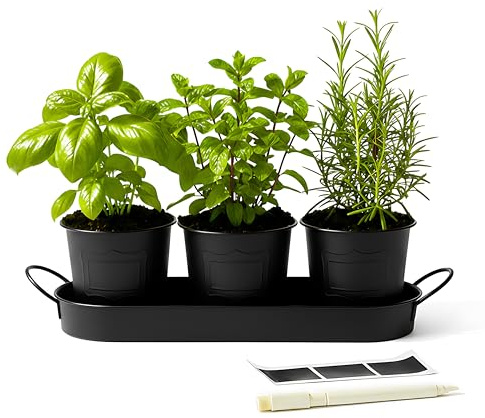 DIVCHI Metal Herb Planter Pots Set of 3 with Tray & Chalk Labels – Indoor Herb Garden Kit for Kitchen Windowsill – Decorative Herb Pots for Basil, Mint, Rosemary – Indoor & Outdoor Use (Black)