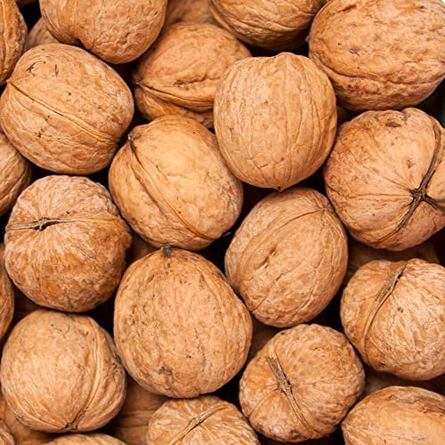 Walnussbaum Pflanze WalnüSse Samen Winterharte KüBelpflanzen Bonzai BäUme WallnüSse Walnuss PflanztöPfe Bonsai Baum Stauden Winterhart MehrjäHrig Balkon Deko Pflanzensamen 5Stück