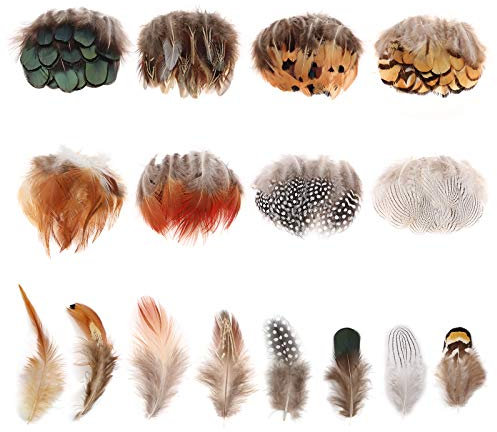 MWOOT 160 Stück Basteln Federn, Braun Grün Weiß Gelb Hahnenfedern, DIY Bastelfedern für Bastelprojekte Traumfänger DIY Ohrringe Faschingskostüme Party-Masken Schmuckstücke Ostereier Deko Fasanfedern