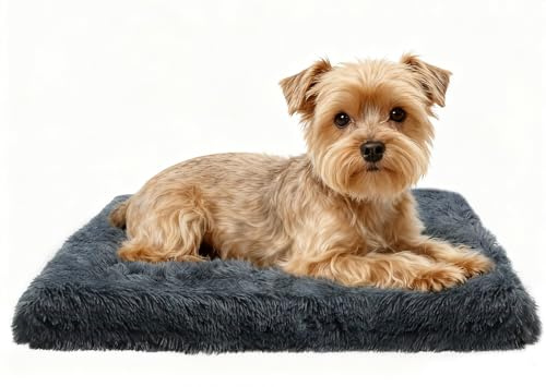 DONWEI Hundebett Flauschig, Orthopädisches Hundebett, Hundekissen Waschbar, Langem Plüsch Hundematte mit Abnehmbarer Deckel, rutschfest Hundematratze für Kiste, 50x40x5CM, Dunkelgrau