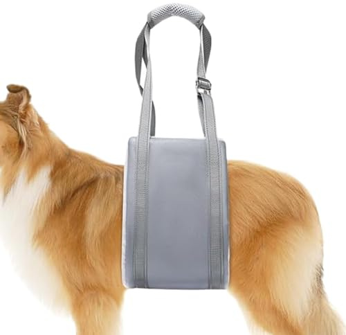 Pettorina di supporto per cani, supporto per gambe posteriori del cane, con maniglia per il trasporto, distribuzione del peso, aiuto per l'addestramento degli animali domestici per cliniche