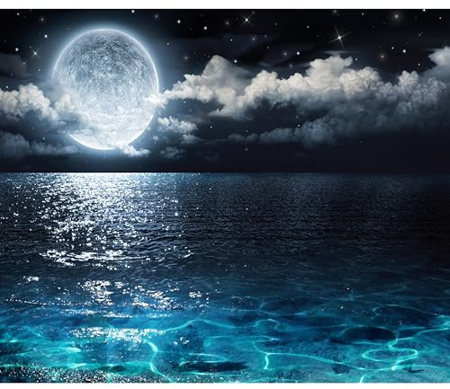 decomonkey Fototapete Vollmond 350x256 cm XXL Design Tapete Fototapeten Vlies Tapeten Vliestapete Wandtapete moderne Wand Schlafzimmer Wohnzimmer Landschaft Nacht Meer