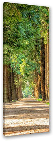 Feeby Leinwandbild Landschaft Bild Kunstdruck Natur Grün 25x70 cm