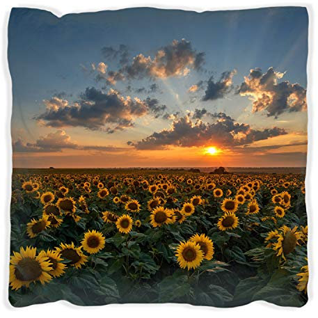 Wallario Dekokissen 60 x 60 cm, Sonnenblumenwiese vor Wolken mit Sonnenuntergang, beidseitig Bedruckt, Kuschelkissen mit weicher Plüsch-Oberfläche