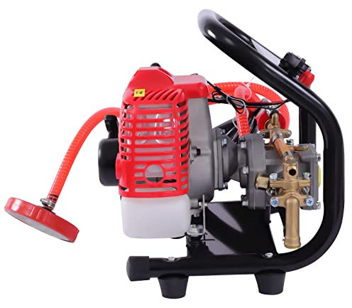 Pulverizador de motor de gasolina, con motor de 2 tiempos, 0,9 CV, jeringa de jardín, 650 ml
