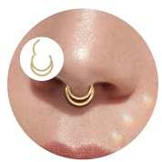 Lantine 16G Septum Ring Doppelter Nasenpiercing Daith Piercing 8/10mm | Lantine Silber Gold Rosegold Schwarz Septum Segmentring Clicker Nasenring Chirurgenstahl Conch Helix Tragus Ohr Piercing