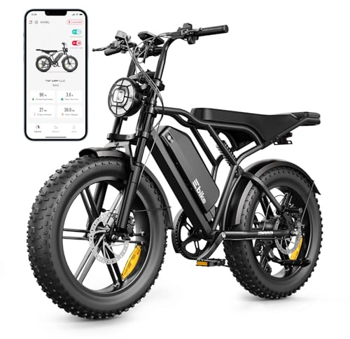 SISIGAD E Bikes Mountainbike Fatbike 20 Zoll Elektrofahrrad für Erwachsene | LCD Display und App, 48 V 15 Ah / 25 Ah Akku, 250W, 25Km/h, 60Km / 88Km Reichweite, Pedelec, Federung, 7 Gängen, Doppelsitz