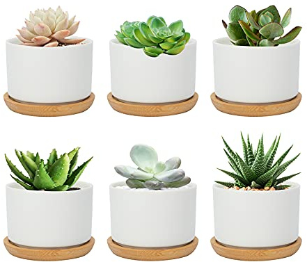 FORAGIFT 7.5CM Succulent Plant Pots, Simple Design Round Small Flower Pot, White Ceramic Cactus Pots with Bamboo Tray and Drainage Hole, Great for Home Office Decor, Set of 6 (Plants Not Included)