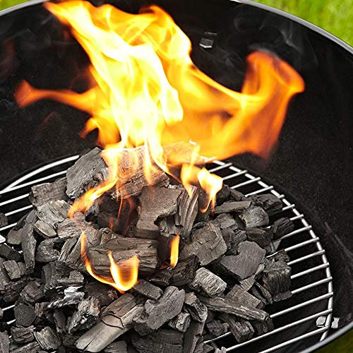 Carbone Biologico Vegetale Ideale per Barbecue Lotus Grill Legna di Leccio Italiano Pezzatura Piccola (2.5 kg) Confezione Anti UMIDITA' | Selezionato a Mano Made in Italy