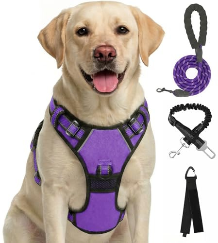 FURRYFECTION arnés Anti-tirón para Cachorros pequeños, arnés de Pecho Seguro Reflectante, Entrenamiento, Morado