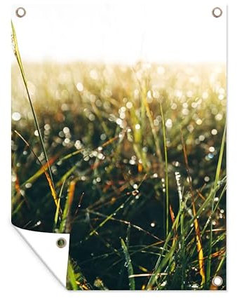 MuchoWow Poster exterieur Champ d'herbe - herbe de la pampa Decoration murale 90x120 cm Résistant aux intempéries/soleil