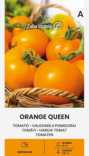 Zalia stotele | Tomates - ORANGE QUEEN Graines de légumes | Tomates oranges | Variété tardive et productive | Fruits juteux à peau fine | Idéal sauces et frais | Graines de tomates | 1 sachet
