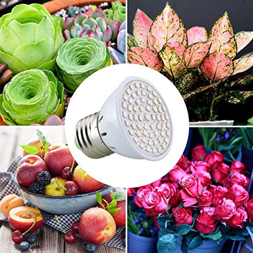 Riscaldatore per animali domestici AmmToo LED Full Spectrum coltiva la luce 60leds lampada del riflettore Bulbo Fiore serra idroponica sistema 220V AC Grow Box ( Color : 10Pcs , Wattage : 60LEDs )