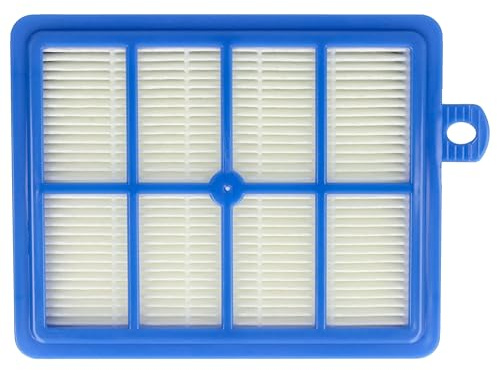 vhbw 1x Filtre compatible avec Tornado Boldio, Serenys, Magnum, 6000, Super Pro, Essensio, TO4620 aspirateur - Remplacement pour AEF 13 W, AEF13W, H13