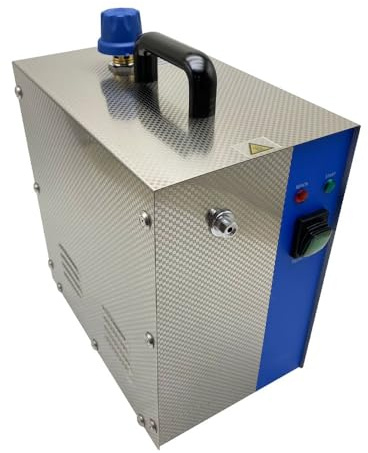 Ångtvätt for smycken 1300W – 2L ångtvättmaskin for rostfritt stål for guld- och silversmycken, professionell ädelstenstvätt, smyckesångare