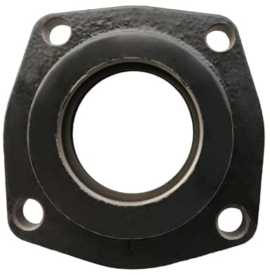 Hajus 1450003 Dichtung Wellendichtring Differential Links 9640792780 kompatibel mit Citroën Jumper Peugeot Boxer Fiat Ducato
