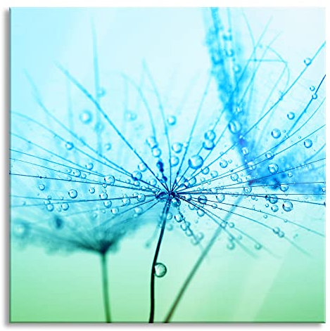 Pixxprint Glasbild, Wandbild auf Echtglas, Pusteblume bedeckt mit Tropfen, 50x50 cm, inkl. Aufhängung und Abstandshalter