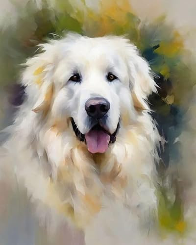 ZMHZMY Malen nach Zahlen Großer Pyrenäenhund Painting by Numbers Kit DIY ölgemälde Kit für Erwachsene,Anfänger Painting Set 16x20 Zoll Leinwanddruck Wandkunst Dekoration