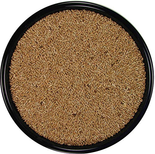 SLEEK & SASSY Canary Seed for Birds (20 lbs.)