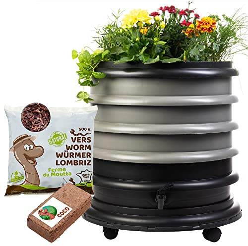 WORMbox | Wurmkomposter Wurmfarm Wurmkiste mit 3 Schalen Grau + Pflanzgefäß + 250g Kompostwürmer / 500 STK + 1 Coco | 48 Liter | Regenwurmkomposter, Kompostwürmer produzieren Wurmhumus