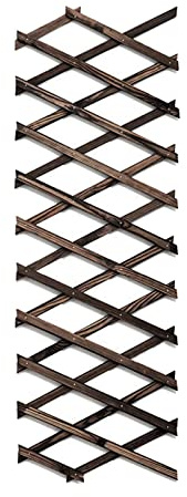 Treillis de jardin extensible en bois pour plantes grimpantes