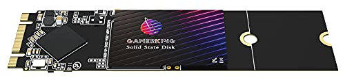 GAMERKING SSD M.2 2280 1TB Ngff internes Solid State Drive 512gb 256gb 128gb 64gb für Desktop-Laptops SATA III 6 Gb/s Hochleistungs Festplatte (1TB, M.2 2280)