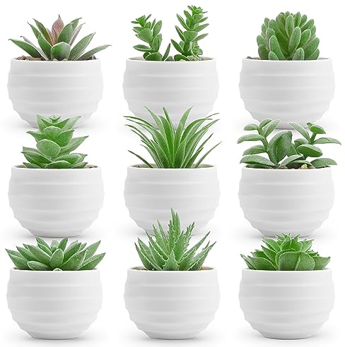 Der Rose 9 Pack Fake Plants Small Realistic Succulents Plants Artificial for Home Room Decor Indoor