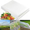 Yanghad Bache pour Serre de Jardin, 3m x 6m Film Polyéthylène, Film à Effet de Serre, Feuille de Polyéthylène, Bâche de Protection en Polyéthylène, pour Protection Serre de Plante de Jardin