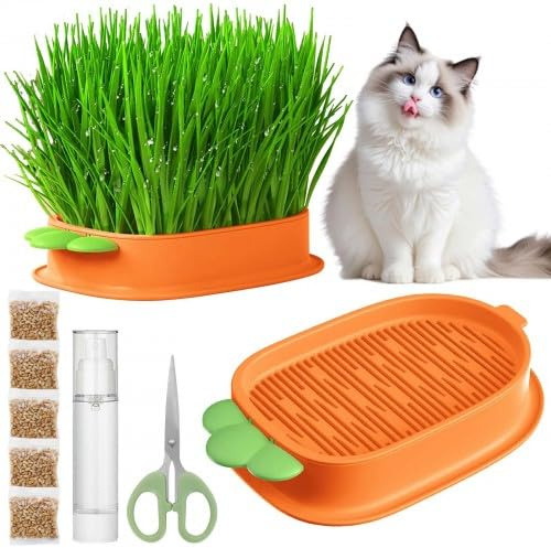 KYSUN Cuencos de Hierba para Gatos con 1 Tijeras de Hierba, macetas de Gran Capacidad, de Material ABS para Gatos y Semillas, Bandeja para Plantas Interiores y Exteriores