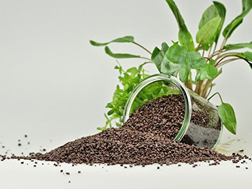 Guemmer Sand - 2,5kg - Aquarienkies, Aquariensand - Verschiedene Körnungen und Farben - Made in Germany - (2-3 mm, Braun)
