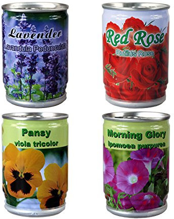 CrazyGadget 4 x Assorted ROSE, PANSY, MORNING GLORY & LAVENDER Plant in a Tin Grow Your Own Flowers Floral Arrangements - Open, Pour Water & Watch it Grow!