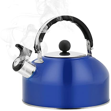 Eayoly Whistling Kettle Teapot, 1.8L Stainless Steel Whistling Water Kettle Portable Whistling Camping Bottle with Heat-Insulated Handle, for Gasstove, Induction, Electric Stovetops