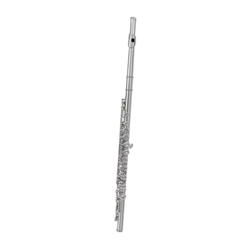 Querflöte Instrument 16-Loch-Flöte Mit Geschlossener Klappe Kupfernickel Versilbert Und Vernickelt Für Anfänger Für Ablegen Von Prüfungen(Nickel)