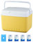 Secchio refrigerante da viaggio, frigorifero – Contenitore portatile di lunga durata, forniture da campeggio congelatore per escursioni, picnic, spiaggia, barbecue, pesca