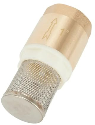 TYGIYY Clapet de Pied en Laiton DN25 1'' avec clapet Anti-Retour et Panier d'aspiration en Acier Inoxydable for systèmes de Pompes à Eau