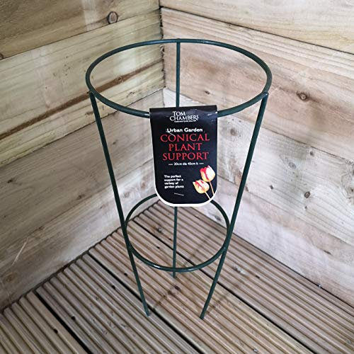 Tom Chambers Urban Green Conical Garden Plant Support Ring 20cm- Small