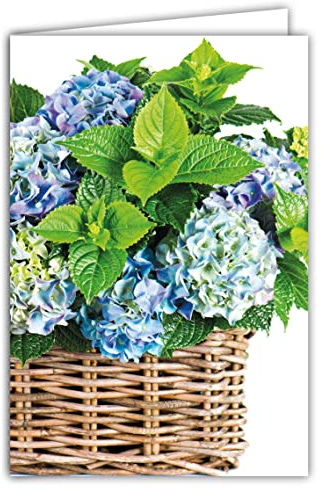 Afie 65-1327 Grußkarte ohne Text für jeden Anlass, zum Geburtstag, mit Gedanken und Blumen, Blau